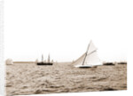 Gloriana, Goelet Cup Race, Gloriana (Yacht) by Anonymous