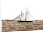 The Volunteer, Goelet Cup Race, August 7, 1891, Nantucket (Steamboat), Volunteer (Yacht) by Anonymous