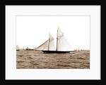 The Volunteer, Goelet Cup Race, August 7, 1891, Nantucket (Steamboat), Volunteer (Yacht) by Anonymous