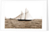 The Volunteer, Goelet Cup Race, August 7, 1891, Nantucket (Steamboat), Volunteer (Yacht) by Anonymous