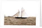 The Volunteer, Goelet Cup Race, August 7, 1891, Nantucket (Steamboat), Volunteer (Yacht) by Anonymous