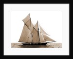 Fortuna, Goelet Cup Race, Fortuna (Schooner), 1891 by Anonymous