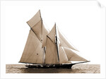 Fortuna, Goelet Cup Race, Fortuna (Schooner), 1891 by Anonymous