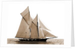 Fortuna, Goelet Cup Race, Fortuna (Schooner), 1891 by Anonymous