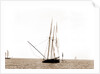 Gracie and Volunteer foul, Gracie (Yacht) by Anonymous