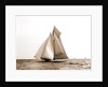 Marguerite, Goelet Cup Race, Marguerite (Schooner), 1891 by Anonymous