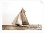 Marguerite, Goelet Cup Race, Marguerite (Schooner), 1891 by Anonymous
