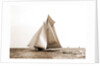 Marguerite, Goelet Cup Race, Marguerite (Schooner), 1891 by Anonymous