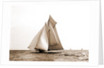 Marguerite, Goelet Cup Race, Marguerite (Schooner), 1891 by Anonymous