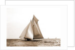 Marguerite, Goelet Cup Race, Marguerite (Schooner), 1891 by Anonymous