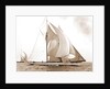 Mayflower, Goelet Cup Race, Mayflower (Schooner), 1891 by Anonymous