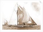 Mayflower, Goelet Cup Race, Mayflower (Schooner), 1891 by Anonymous