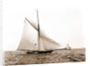 Liris (Sloop), 1891 by Anonymous