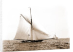 Liris (Sloop), 1891 by Anonymous