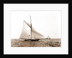Liris (Sloop), 1891 by Anonymous