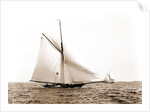 Liris (Sloop), 1891 by Anonymous