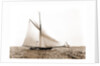 Liris (Sloop), 1891 by Anonymous