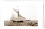 Liris (Sloop), 1891 by Anonymous