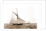 Liris (Sloop), 1891 by Anonymous