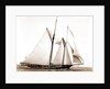 Constellation (Schooner), 1891 by Anonymous