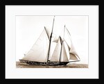 Constellation (Schooner), 1891 by Anonymous