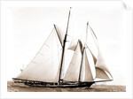 Constellation (Schooner), 1891 by Anonymous