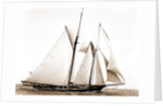 Constellation (Schooner), 1891 by Anonymous
