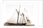 Constellation (Schooner), 1891 by Anonymous