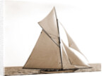 Gloriana, Corinthian sweepstakes, Corinthian Yacht Club, Gloriana (Yacht) by Anonymous