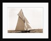 Oweene, Corinthian sweepstakes, Corinthian Yacht Club, Oweene (Sloop), 1891 by Anonymous