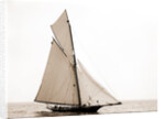 Jessica, Corinthian sweepstakes, Corinthian Yacht Club, Jessica (Yacht) by Anonymous