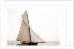 Jessica, Corinthian sweepstakes, Corinthian Yacht Club, Jessica (Yacht) by Anonymous