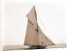 Mineola, Corinthian Sweepstakes, August 17, 1891, Corinthian Yacht Club, Mineola (Yacht) by Anonymous