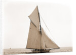 Mineola, Corinthian Sweepstakes, August 17, 1891, Corinthian Yacht Club, Mineola (Yacht) by Anonymous