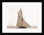 Mineola, Corinthian Sweepstakes, August 17, 1891, Corinthian Yacht Club, Mineola (Yacht) by Anonymous