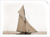 Mineola, Corinthian Sweepstakes, August 17, 1891, Corinthian Yacht Club, Mineola (Yacht) by Anonymous