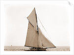 Mineola, Corinthian Sweepstakes, August 17, 1891, Corinthian Yacht Club, Mineola (Yacht) by Anonymous