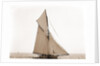 Mineola, Corinthian Sweepstakes, August 17, 1891, Corinthian Yacht Club, Mineola (Yacht) by Anonymous
