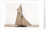 Mineola, Corinthian Sweepstakes, August 17, 1891, Corinthian Yacht Club, Mineola (Yacht) by Anonymous