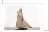 Mineola, Corinthian Sweepstakes, August 17, 1891, Corinthian Yacht Club, Mineola (Yacht) by Anonymous