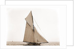Mineola, Corinthian Sweepstakes, August 17, 1891, Corinthian Yacht Club, Mineola (Yacht) by Anonymous