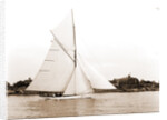 Mildred (Yacht) by Anonymous