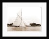 Mildred (Yacht) by Anonymous