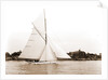 Mildred (Yacht) by Anonymous