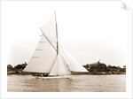 Mildred (Yacht) by Anonymous
