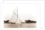 Mildred (Yacht) by Anonymous
