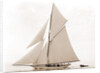 Mildred (Yacht) by Anonymous