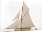 Mildred (Yacht) by Anonymous