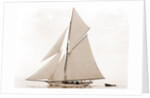 Mildred (Yacht) by Anonymous