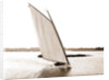 Rocket (Sailboat), 1880 by Anonymous